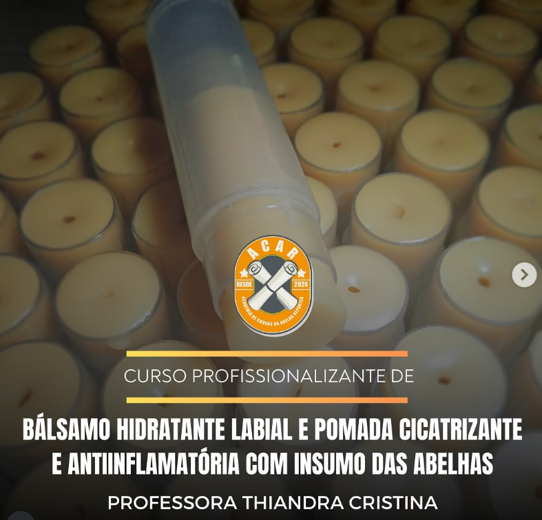 Workshop - Bálsamo Labial e Pomada Cicatrizante e Anti-inflamatória com Insumos das abelhas