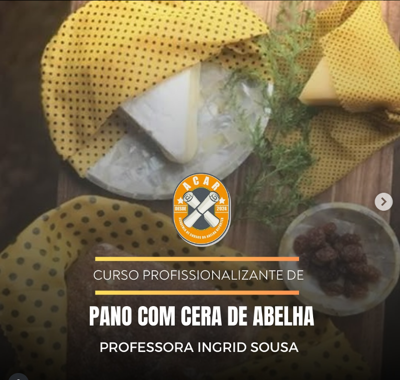 Workshop - Pano com Cera de Abelha